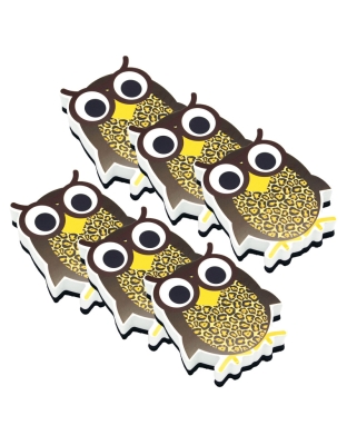 Magnetic Whiteboard Eraser, Wise Owl, Pack of 6