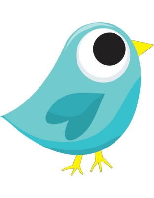 Magnetic Whiteboard Eraser, Blue Tweet