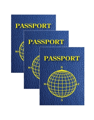 Blank Passports, 12 Per Pack, 3 Packs