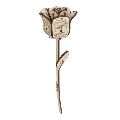 Rose Wooden Flower Model Kit, 29 Pieces