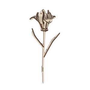 Iris Wooden Flower Model Kit, 22 Pieces