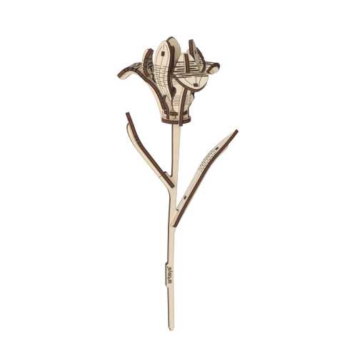 Iris Wooden Flower Model Kit, 22 Pieces