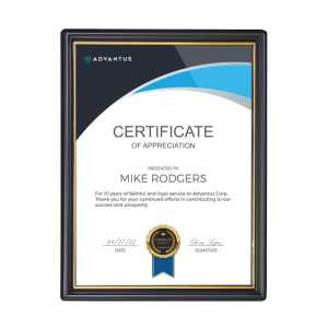 EZ Mount Document Frame, Black & Gold Plastic, 8x10 in