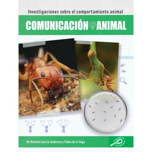 Comunicaci