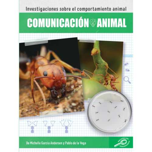 Comunicaci