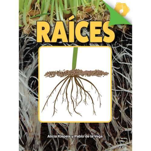 Ra