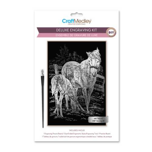 Deluxe Engraving Art Kit, Horses Design