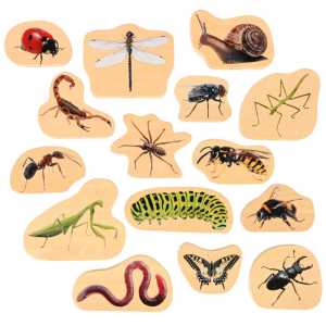 Wooden Minibeast Blocks - Set of 15