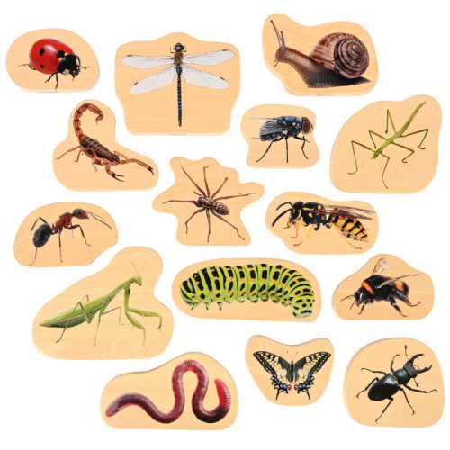 Wooden Minibeast Blocks - Set of 15