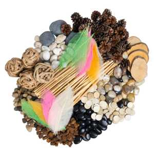 Naturals Discovery Loose Parts Set