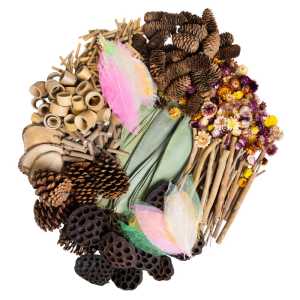 Naturals Woodland Wonders Loose Parts Set
