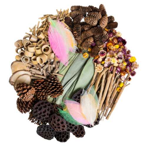 Naturals Woodland Wonders Loose Parts Set