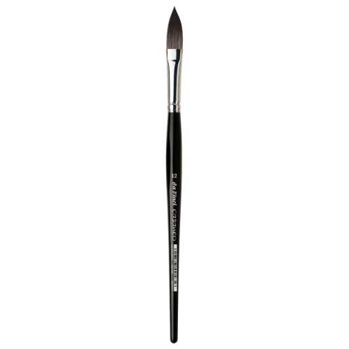 CASANEO Wash, Synthetic, Watercolor, Oval-Pointed, Series 898, Size 12