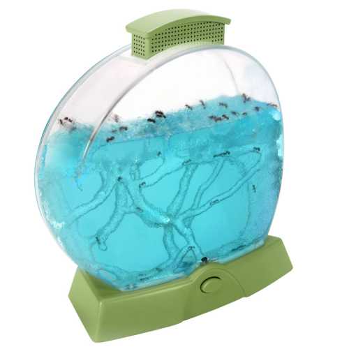 Geosafari&reg; Day 'N' Night Ant Farm