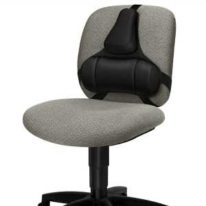 Professional Series Back Support with Microban Protection