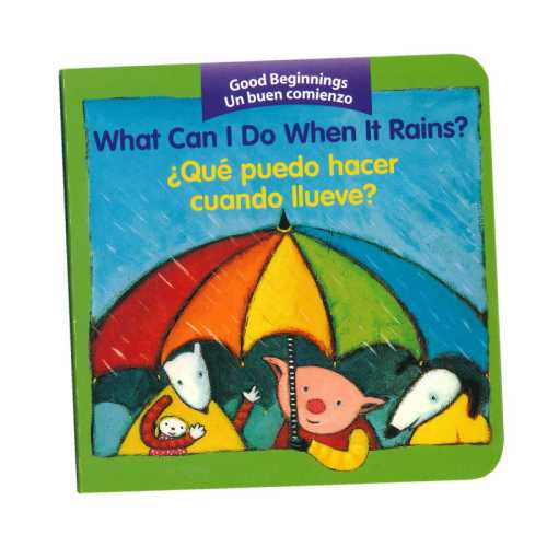 What Can I Do When it Rains?, &iquest;qu
