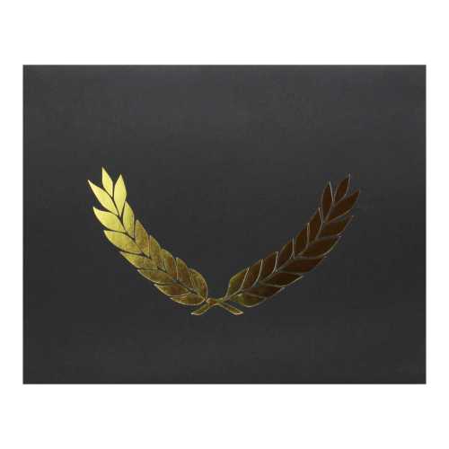 Gold Foil Stamped Black Certificate Folders, 10