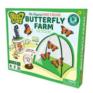 Butterfly Farm