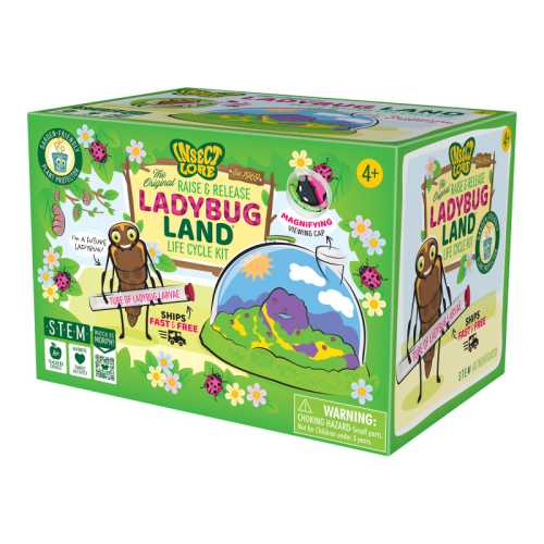Ladybug Land with Prepaid Voucher