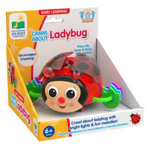 Crawl About Ladybug