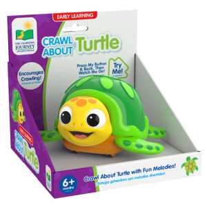 Crawl About Sea Turtle