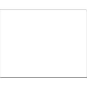 4-Ply Railroad Board, White, 22" x 28", 25 Sheets