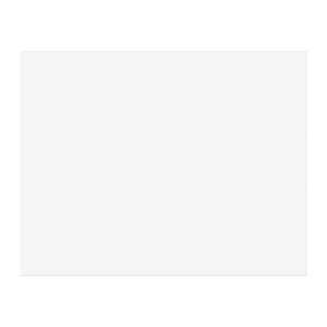 Economy Poster Board, White, 22" x 28", 100 Sheets