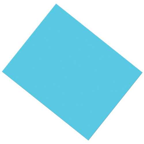 Coated Poster Board, Light Blue, 22
