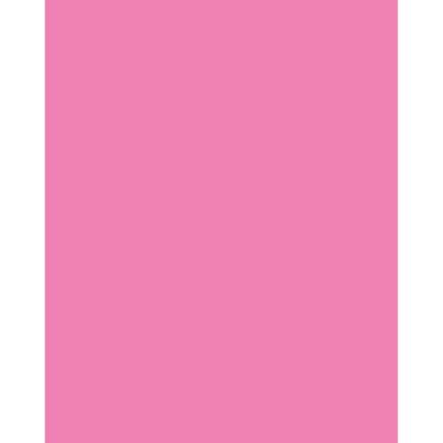 Neon Coated Poster Board, Neon Pink, 22