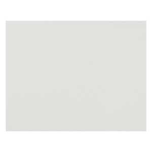 4-Ply Railroad Board, White, 22" x 28", Pack of 50
