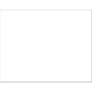 6-Ply Railroad Board, White, 22" x 28", 25 Sheets