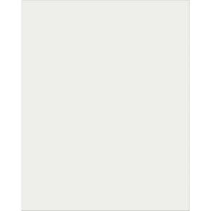 Plastic Poster Board, Clear, 22" x 28", 25 Sheets