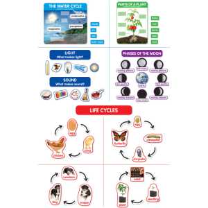 Early Science Concepts Bulletin Board Set