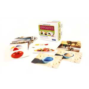 Language Builder&reg; Picture Cards, Opposites