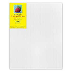 300 Series Traditional Stretched Canvas, 8x10 inch