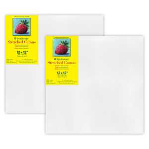 300 Series Traditional Stretched Canvas, 12x12 inch, Pack of 2