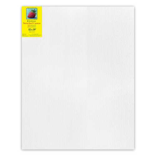 300 Series Traditional Stretched Canvas, 22x28 inch