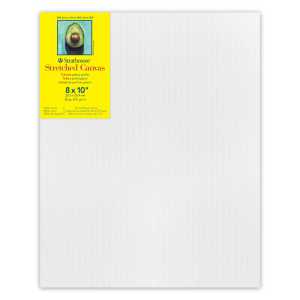 300 Series Gallery Stretched Canvas, 8x10 inch