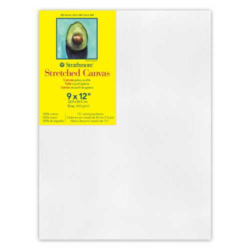 300 Series Gallery Stretched Canvas, 9x12 inch