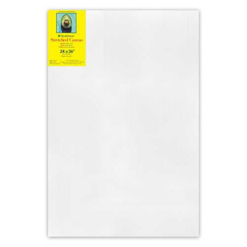 300 Series Gallery Stretched Canvas, 24x36 inch