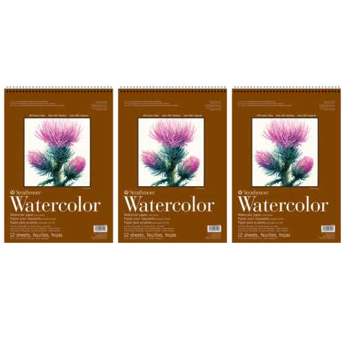 400 Series Watercolor Pad, Top Wire Binding, 12 Sheet, 11x15 inch, Pack of 3