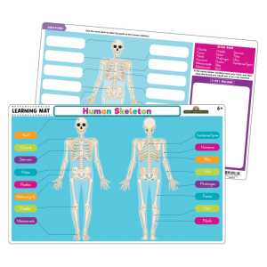 Human Skeleton Learning Mat