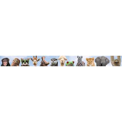 Go Wild Animals Straight Border Trim, 35 Feet
