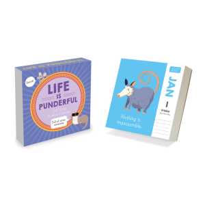 2027 Puns of Fun Daily Desktop Calendar