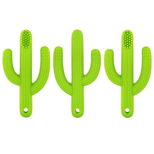 Cactus Toothbrush Teether, Pack of 3