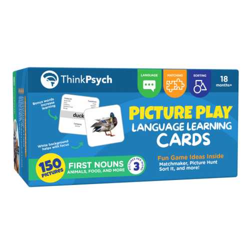 First Nouns Picture Play Cards - 150 Picture Cards for Speech Development