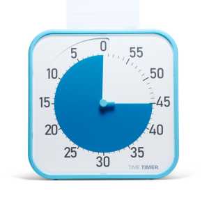 Original Blue 12"  Timer (Blue with Blue Disk)