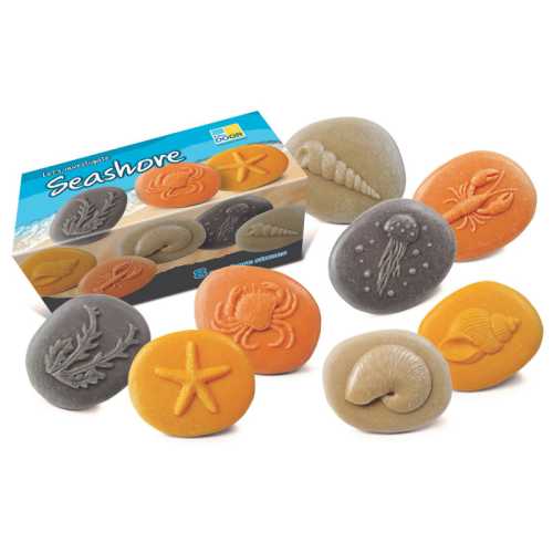 Let's Investigate &ndash; Seashore, Set of 8 Stone Figures