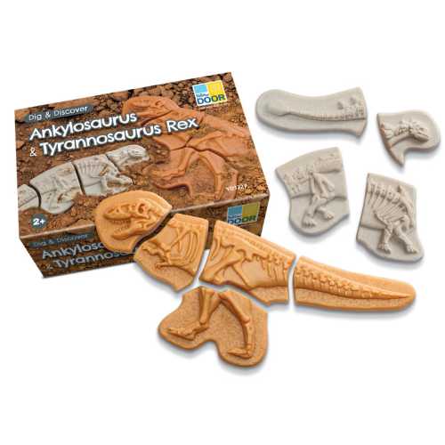 Dig and Discover - Ankylosaurus & Tyrannosaurus Rex
