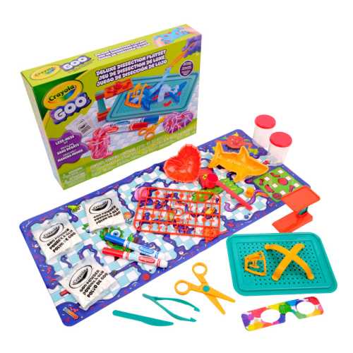 Goo Dissection Playset